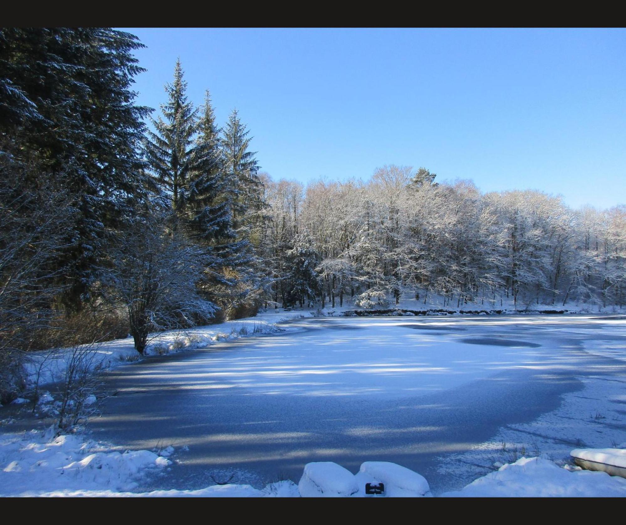 Cabane Limousine Au Bord D'Un Etang ボナック・ラ・コート エクステリア 写真
